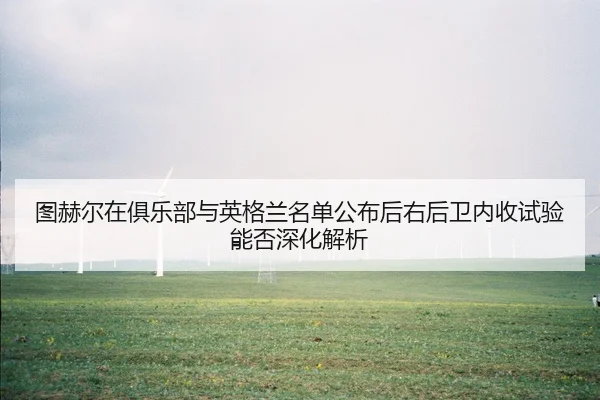 tu-he-er-zai-ju-le-bu-yu-ying-ge-lan-ming-dan-gong-bu-hou-you-hou-wei-nei-shou-shi-yan-neng-fou-shen-hua-jie-xi-2-755.jpg